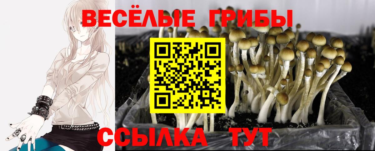 Верхний Уфалей  Псилоцибиновые грибы мухоморы  Вход с VPN 